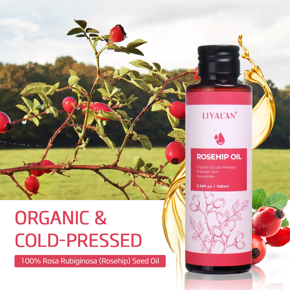 100ml Rosehip Oil Brighten Fir – обзор и цена Cold Pressed Rose Hip